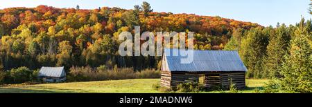 Verlassene Scheunen und Herbstfarben: Stillgelegte Scheunen und Nebengebäude, umgeben von den Herbstfarben der Hügel, die das westliche Waldland von Quebec bilden. Stockfoto