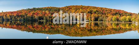 Lac Barnes im Herbst: Ein ruhiger See in Quebecs Region Pontiac spiegelt die Herbstfarben der Blätter im umliegenden Wald perfekt wider. Panorama. Stockfoto