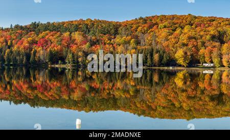 Lac Barnes im Herbst: Ein ruhiger See in Quebecs Region Pontiac spiegelt die Herbstfarben der Blätter im umliegenden Wald perfekt wider. Pano Stockfoto