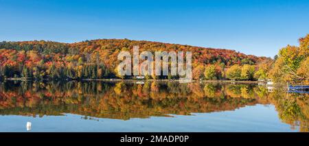 Lac Barnes im Herbst: Ein ruhiger See in Quebecs Region Pontiac spiegelt die Herbstfarben der Blätter im umliegenden Wald perfekt wider. Panorama. Stockfoto