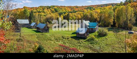 Verlassene Scheunen und Herbstfarben: Stillgelegte Scheunen und Nebengebäude, umgeben von den Herbstfarben der Hügel, die das westliche Waldland von Quebec bilden. Stockfoto