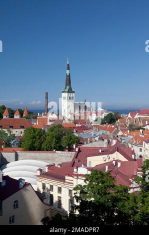 Estland, Tallinn, Blick über die Altstadt mit St. Olav Kirchturm. Stockfoto