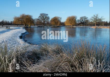 Der gefrorene Heron Pond im Bushy Park, London, in einer Winterszene mit kalten Wintertagen am Heron Pond Stockfoto