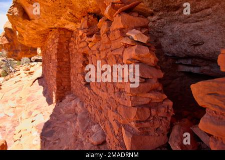 Hoch oben auf einem Sandsteinmonolith befinden sich die Ruinen einer ehemaligen Festung Pueblo: Der Sentinel at Bears Ears National Monument Stockfoto