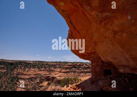 Hoch oben auf einem Sandsteinmonolith befinden sich die Ruinen einer ehemaligen Festung Pueblo: Der Sentinel at Bears Ears National Monument Stockfoto