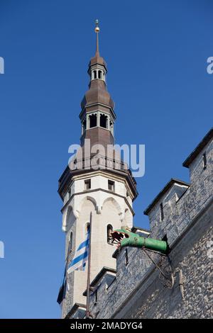 Estland, Tallinn, Rathauspire. Stockfoto