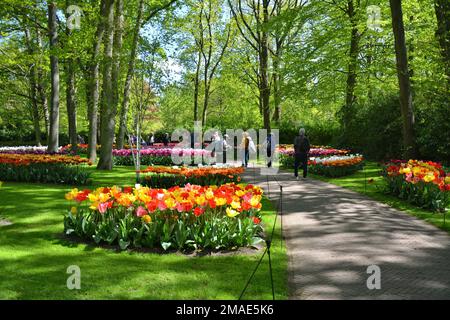 Lisse, Niederlande - 02. Mai 2022: Menschen gehen im Frühling in den Niederlanden im Tulpengarten Keukenhof spazieren. Stockfoto