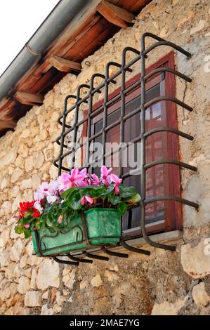 Vintage-Fenster mit Blumenkasten - Italien Stockfoto