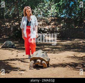 Lächelnde Touristenfrau, die Aldabra Riesenschildkröte beobachtet - eine der größten Schildkröten der Welt im Zoo-Naturpark auf Mauritius Island. Schönheit i Stockfoto