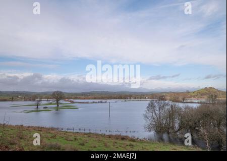 Überschwemmung im Towy Valley bei Schloss Dryslwyn, 14. Januar 2023 Stockfoto