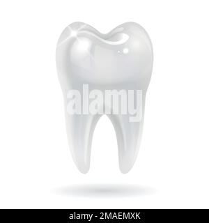 Weißer Zahn auf weißem Hintergrund Stock Vektor