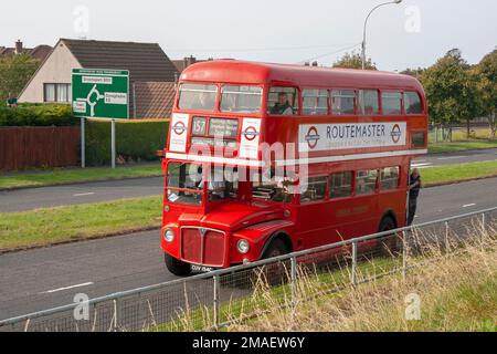 13. September 2014 Ein alter roter Doppeldecker AEG Routemaster London Transport Bus auf der zweispurigen Straße in Bangor nach einem Tag auf einer lokalen Messe Stockfoto