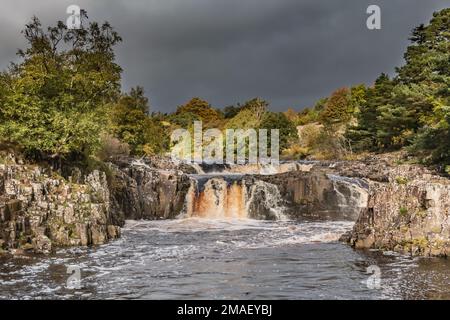 Ein kurzes Stück sehr starker Sonnenschein beleuchtet den Low Force Wasserfall unter dramatischen Bedingungen vor einem dunklen Himmel. Stockfoto