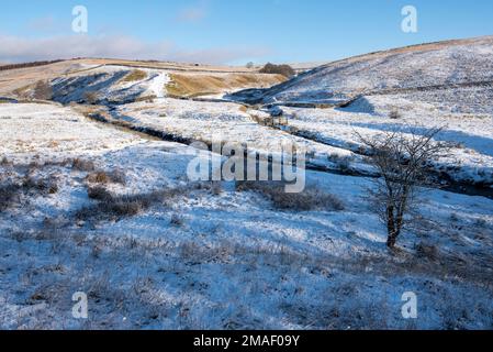 Es gibt zwei Brückenübergänge, an denen Bookil Gill Beck auf Long Preston Beck trifft. Es macht eine hübsche Landschaftsszene in Yorkshire, Stockfoto