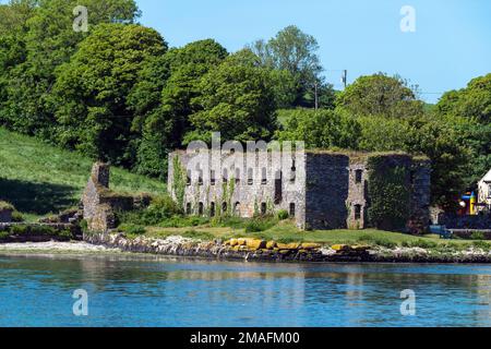 Die Ruinen des Steinkornlagers am Ufer der Clonakilty Bay an einem sonnigen Frühlingstag. Irische Landschaft. Die Ruinen von Arundel Grain Store in der Nähe von Clonakilty Stockfoto