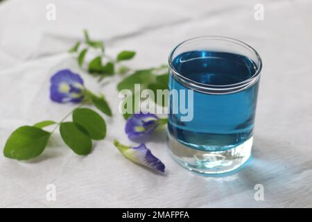 Schmetterlingserbsen-Blütentee. Ein Kräutertee mit Blüten der in Südostasien heimischen Clitoria ternatea-Pflanze. Kobaltblaues Getränk mit Varietät Stockfoto