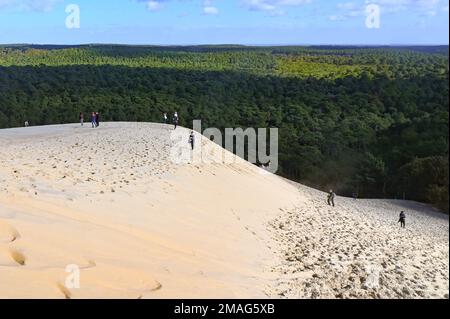 Die Düne du Pilat (auch: pyla) ist Europas höchste Sanddüne und ein großartiger Ort de France Stockfoto