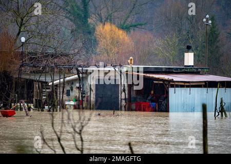 Ein kleiner Hund sucht Schutz auf dem Dach seiner Hundehütte, die nach einer Überschwemmung in Rieti, Italien, vollständig überflutet wurde. 18. Januar 2023. (Foto: Riccardo Fabi/Pacific Press/Sipa USA) Guthaben: SIPA USA/Alamy Live News Stockfoto