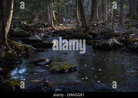 Moos bedeckte Felsen spitzen durch einen kleinen Wasserdurchfluss Stockfoto