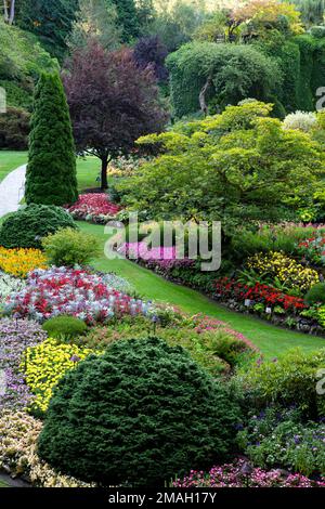 Weideblick auf grüne und gepflasterte Pfade der Butchart Gardens, Vancouver Island, British Columbia, Kanada, in vertikalem Format Stockfoto