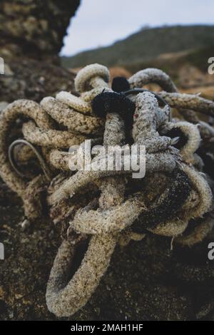 Verlorenes Fanggerät in San Diego Stockfoto