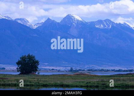 Wunderschöne Aussicht auf die schneebedeckten Mission Mountains der Rocky Mountains entlang der Olsen Road in der Mission Valley Region von Montana Stockfoto