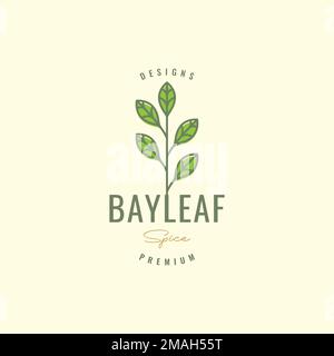 bay Leaf aromatisches Kochen Gewürz minimalistische Farben Hipster Logo Design Vektorsymbol Illustration Vorlage Stock Vektor