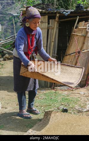 Raga, Arunachal Pradesh, Indien - 02 20 2013 : Nyishi-Stamm alte Frau mit traditionellem Schmuck, die Senfkörner nach dem Weinanbau erntet Stockfoto