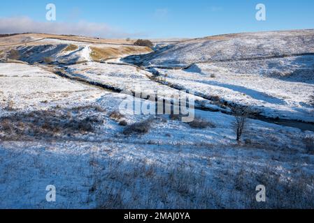 Es gibt zwei Brückenübergänge, an denen Bookil Gill Beck auf Long Preston Beck trifft. Es macht eine hübsche Landschaftsszene in Yorkshire, Stockfoto