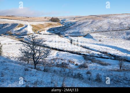 Es gibt zwei Brückenübergänge, an denen Bookil Gill Beck auf Long Preston Beck trifft. Es macht eine hübsche Landschaftsszene in Yorkshire, Stockfoto