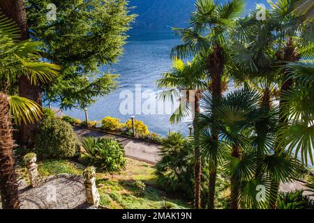 Fantastischer Park Helenium entlang der Küste des Luganer Sees. Sonnig im Winter. Blick vom Olivenpfad in den Vororten von Lugano. Stockfoto