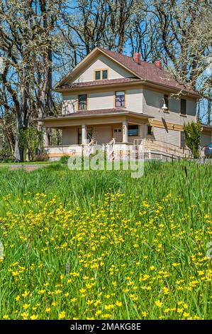 Das Tomseth House im Dorris Ranch Park in der Nähe von Springfield, Oregon. Stockfoto