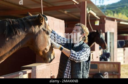 Lächelnder erwachsener Putzkopf eines braunen Pferdes mit Bürste im Pferdeclub Stockfoto