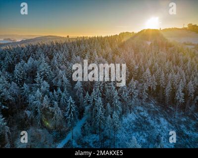 Wunderschöner Sonnenuntergang im Winter hinter einem Frost- und schneebedeckten Wald auf einem Berg Stockfoto