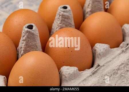 Frische braune Hühnereier im Karton. Ökologisches, Käfigfreies und Geflügelzuchtkonzept. Stockfoto