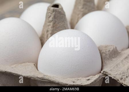 Frische weiße Hühnereier im Karton. Ökologisches, Käfigfreies und Geflügelzuchtkonzept. Stockfoto