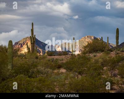 Während sich eine Wetterfront durch den Bundesstaat Arizona bewegt, bilden Wolken kontrastierende Elemente über der Superstition Mountain Range östlich von Phoenix Stockfoto