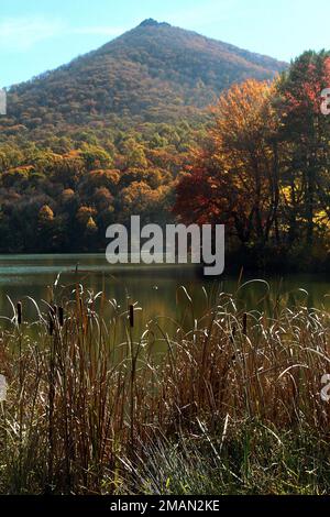 Blue Ridge Parkway, Virginia, USA. Blick auf Abbott Lake und Sharp Top im Herbst. Stockfoto