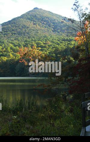 Blue Ridge Parkway, Virginia, USA. Blick auf Abbott Lake und Sharp Top im Herbst. Stockfoto