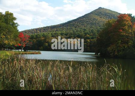 Blue Ridge Parkway, Virginia, USA. Blick auf Abbott Lake und Sharp Top im Herbst. Stockfoto