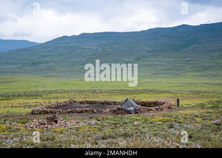 Steinhütten, die im Sommer von Schafen im Hochland von Lesotho genutzt werden. Stockfoto