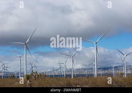 Windturbinen für die Umwandlung von Eoolenergie in Elektrizität, dargestellt in der Mojave-Wüste, Kern County, Kalifornien, USA. Stockfoto