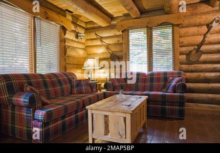 Rote und blaue Schottensofas mit rustikalem Holzkästen-Couchtisch im Wohnzimmer im Blockhaus im skandinavischen Stil. Stockfoto