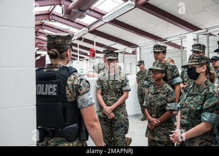 USA Marine Corps Junior Reserve Officer Training Corps Kadetten von der Coolidge High School werden einem militärischen Arbeitshund auf der Marine Corps Air Station Miramar, San Diego, Kalifornien, vorgestellt, 2. Juni 2022. Die Kadetten besuchten die Hundehütten des Militärs im Rahmen eines Besuchs der Basis, um sie mit den Operationen der Flugstationen und dem täglichen Leben im Militär vertraut zu machen. Stockfoto