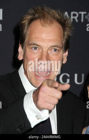 19. Januar 2023 - der britische Schauspieler Julian Sands, bekannt für seine Rolle in dem hochgelobten Film "A Room with a View" aus dem Jahr 1986, wurde am Freitag als vermisst gemeldet, nachdem er allein auf einem Wanderweg auf dem gefährlichen Mount Baldy in den San Gabriel Mountains in Südkalifornien gewandert war. Dateifoto: 7. November 2015 - Los Angeles, Kalifornien - Julian Sands. LACMA 2015 Art+Film Gala in LACMA. Foto: Byron Purvis/AdMedia Stockfoto