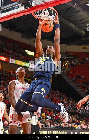 19. Januar 2023: Michigan Wolverines Forward Tarris Reed Jr. (32) dunkelt den Ball während des NCAA-Basketballspiels zwischen den Michigan Wolverines und den Maryland Terrapins im Xfinity Center in College Park, MD. Reggie Hildred/CSM Stockfoto