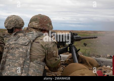 Ein Soldat bei der 833. Engineer Company, Iowa Army National Guard, feuert ein 50 Kaliber Maschinengewehr während der Western Strike 22, einer Multi-State National Guard Trainingsübung, am 5. Juni 2022 im Orchard Combat Training Center, Idaho. WESTERN Strike 22 ist eine exportierbare Übung zur Kampfausbildung unter der Leitung der 65. Artilleriebrigade der Utah National Guard, die Soldaten der Nationalgarde ähnlich wie ein Kampftrainingscenter eintauchen lässt und darauf abzielt, die Einsatzbereitschaft und die Letalität der teilnehmenden Einheit zu erhöhen. Stockfoto