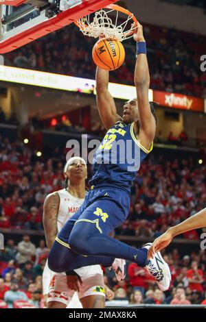 College Park, Maryland, USA. 19. Januar 2023. Michigan Wolverines, vorwärts TARRIS REED, JR. Er taucht den Ball ein. Die Maryland Terrapins waren Gastgeber der Michigan Wolverines im XFINITY Center in College Park, MD (Kreditbild: © Nick Piacente/ZUMA Press Wire). Nicht für den kommerziellen GEBRAUCH! Stockfoto