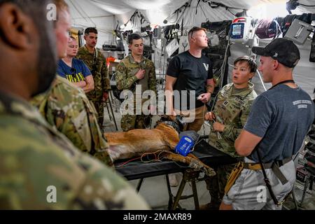 USA Air Force Enzo, ein militärischer Arbeitshund der 378. Einheit der Sicherheitskräfte der Expedition K9, betrachtet das Piepen-EKG-Gerät als US-amerikanisches Gerät Armeekapitän Annemarie Petty, eine Tierärztin der 169. Medizinischen Einheit Veterinary Services, erklärt 378. Air Expeditionary Wing Airmen, wie sie die Maschine auf der Grundlage eines Hundeherzens am Prince Sultan Air Base, Königreich Saudi-Arabien, am 7. Juni 2022 lesen können. USCENTCOM Airmen und Soldaten fressen, spielen und arbeiten in PSAB zusammen. Die Joint Force-Partnerschaft fördert, fördert und erweitert die Missionskapazitäten der einzelnen Zweige in Südwestasien Stockfoto