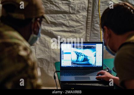 USA Air Force Staff Sergeant Patrick Dean, ein diagnostischer Bildgebungsspezialist beim 378. Expeditionary Medical Squadron und den USA Army Capt. Annemarie Petty, eine Tierärztin der 169. Veterinäramter, schaut sich Röntgenbilder von Zazu an, einem militärisch arbeitenden Hund der 378. Einheit der Expeditionstruppen der Sicherheitskräfte K9, während eines Tierarztbesuchs auf dem Prince Sultan Luftwaffenstützpunkt, Königreich Saudi-Arabien, 7. Juni 2022. USCENTCOM Airmen und Soldaten fressen, spielen und arbeiten in PSAB zusammen. Die Partnerschaft der gemeinsamen Truppen fördert, fördert und erweitert die Missionskapazitäten der einzelnen Zweige in der Mitteilung der Beschwerdepunkte Stockfoto